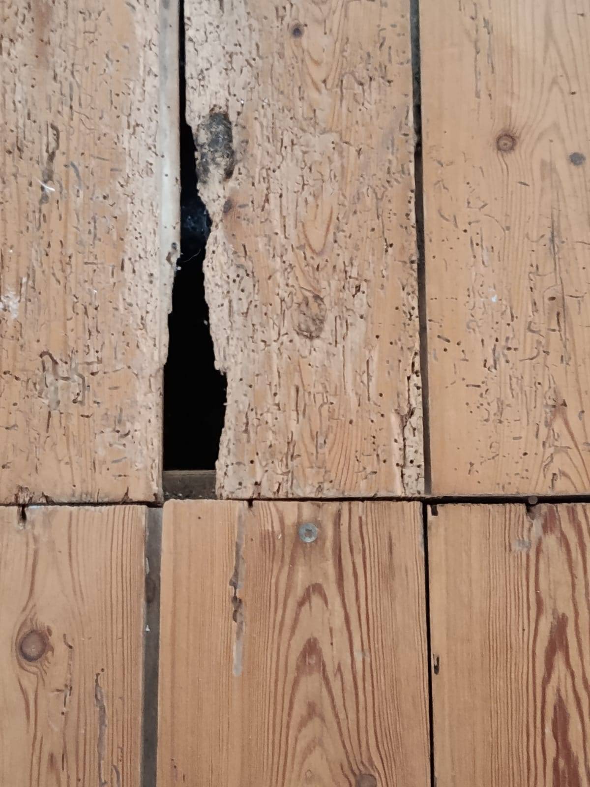 Rénovation parquet Balma